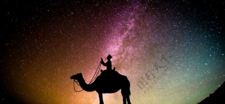 星空骆驼