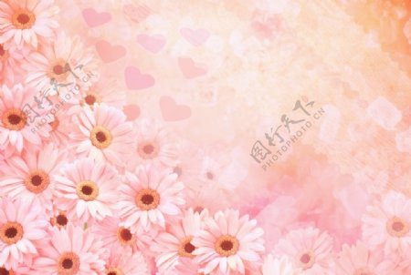 粉色花朵底图