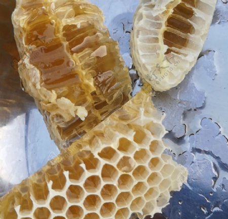 蜂蜜