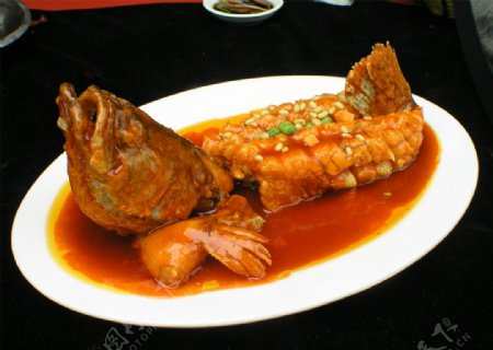 松鼠桂鱼
