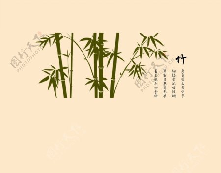 硅藻泥竹背景