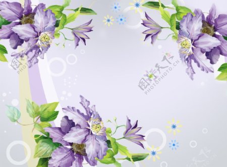 手绘紫罗兰紫色郁金香背景墙壁纸