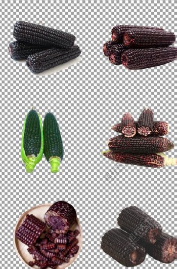 黑糯玉米图片