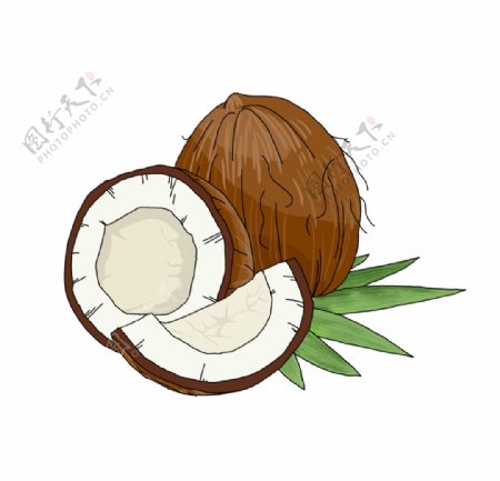 手绘椰子图片