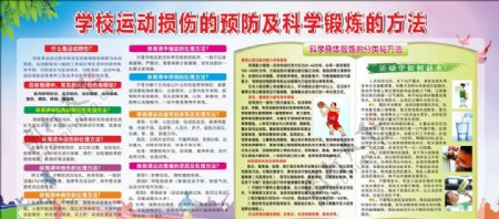 学校运动损伤的预防及科学宣传栏图片