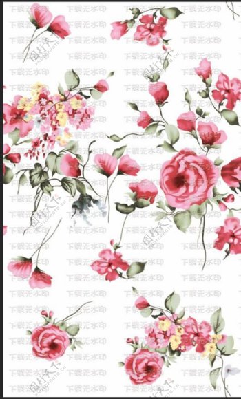 手绘抽象玫瑰月季图片