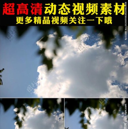 蓝天白云植物树叶空镜头视频素材