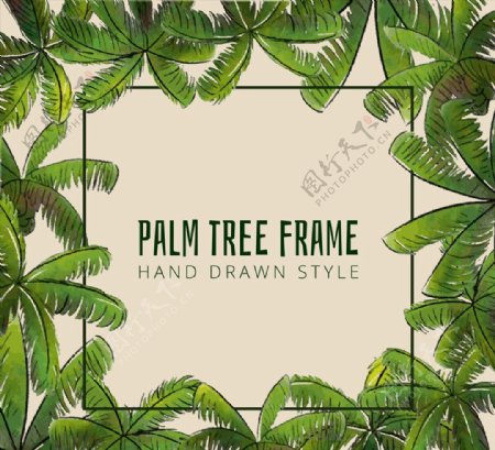 绿色棕榈树框架图片