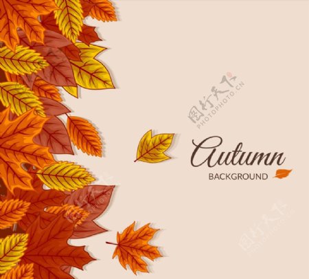 彩色秋季落叶背景图片
