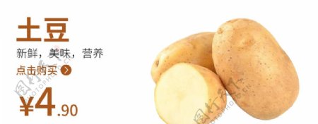 土豆食品海报蔬菜蔬菜海报图片