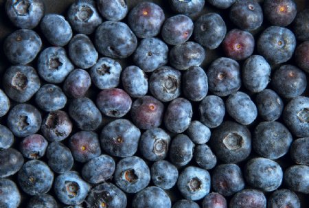 蓝莓贴图纹理纹路水果图片