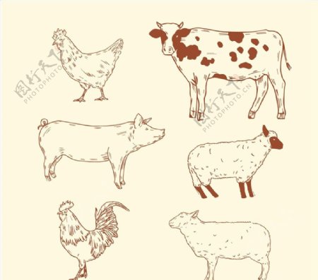 手绘农场动物图片