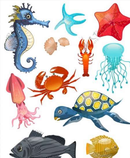 创意海洋动物图片