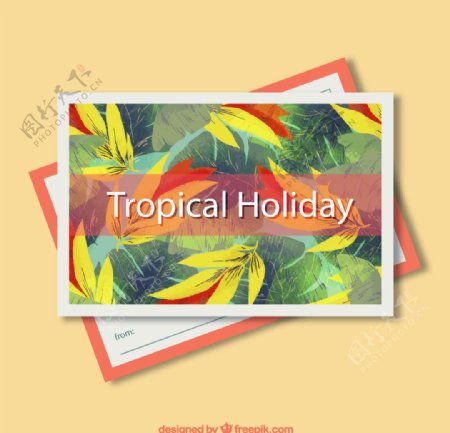 熱帶樹葉明信片圖片
