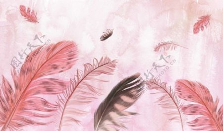 粉色羽毛温馨背景墙布定制壁画图片