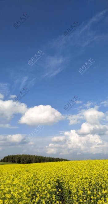 草原天空图片