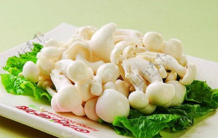 浙菜生烤白玉菇图片