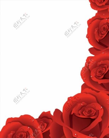 红玫瑰花边矢量图片
