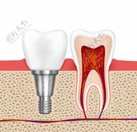 牙齿口腔医科图片
