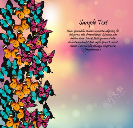 彩色蝴蝶边框图片