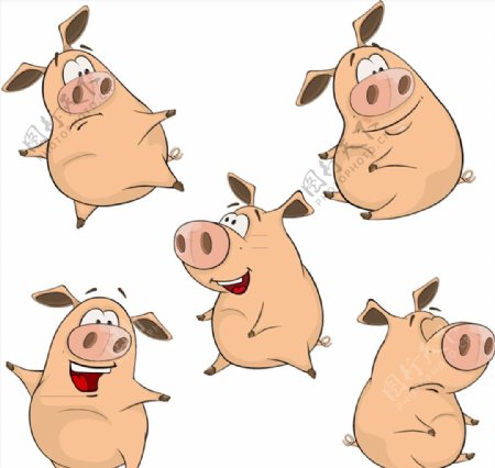 可爱卡通猪矢量图片
