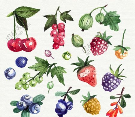水彩绘新鲜水果图片