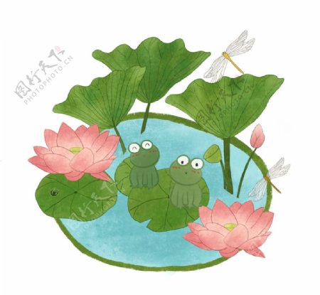 莲花荷叶青蛙插画图片