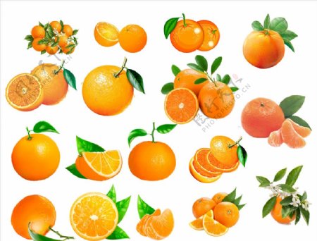 橘子橙子柑橘沃柑砂糖橘图片