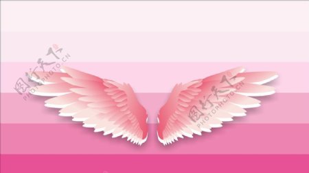 粉色翅膀图片