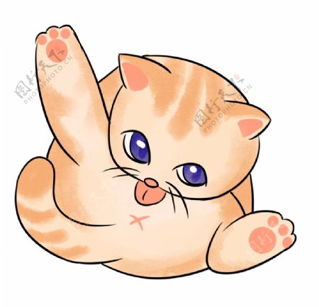 可爱的橘色小猫图片