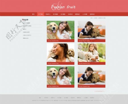 宠物网站模板设计产品列表页PSD源文件