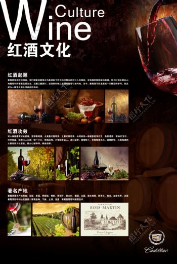 红酒文化图片