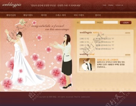 婚纱新娘网站
