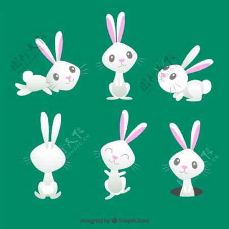 6款卡通白色兔子