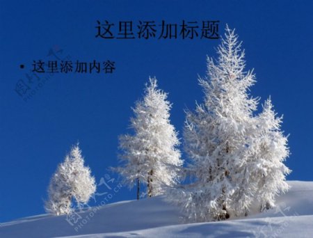 玉树琼枝的美丽雪景高清电脑PPT2