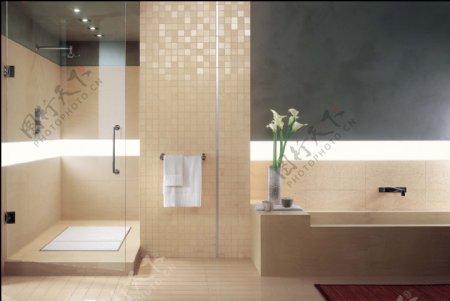 浴室卫生间瓷砖铺贴应用美图