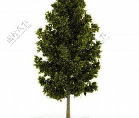 国外精品植物树木灌木3D模型125套2