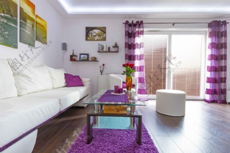 紫白色调客厅图片