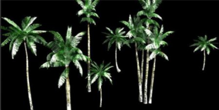 绿色椰树游戏模型