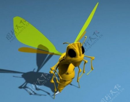 蜜蜂模型
