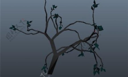 树植物游戏模型