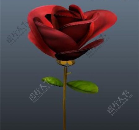 艳红的玫瑰游戏模型