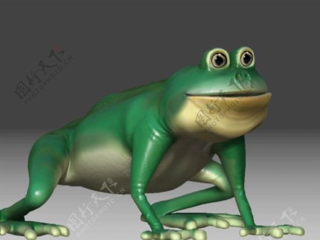 青蛙模型