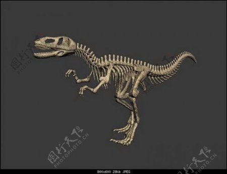 动物恐龙爬行类3d模型素材免费下载3d模型免费下载5