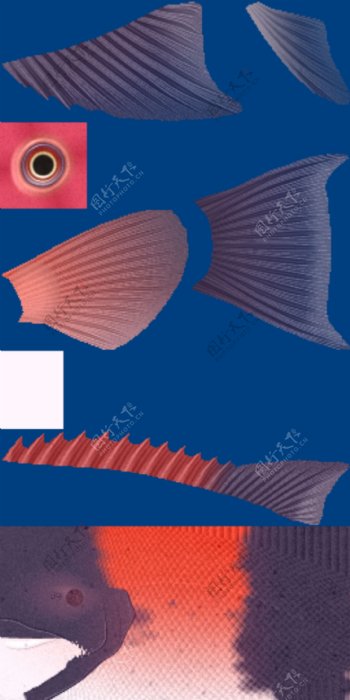 动物鱼类3d模型动植物模型免费下载鱼类3d素材63