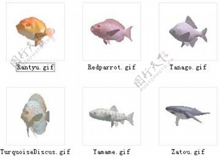 动物鱼类3d模型动植物模型免费下载动物3d模型23