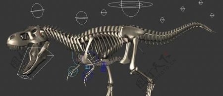 T.rexSkeletonrig暴龙骨骼绑定