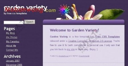 紫色花卉养植信息网页模板