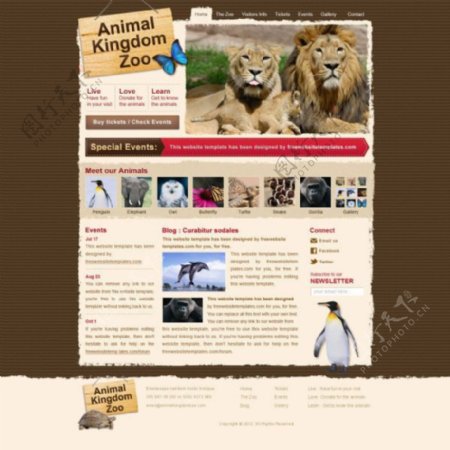 国外动物网站模板psd素材