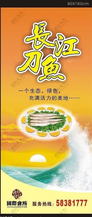 长江刀鱼图片